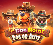 The Dog House - Dog Or Alive